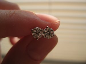 IMG_0065.JPG