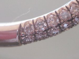 Shank.jpg