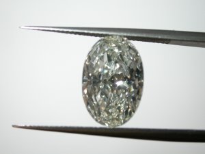 DSCN0295.JPG