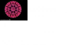 IS image 3.11 AGS.JPG IS image 3.11 AGS.JPG