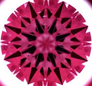 1336405id.jpg