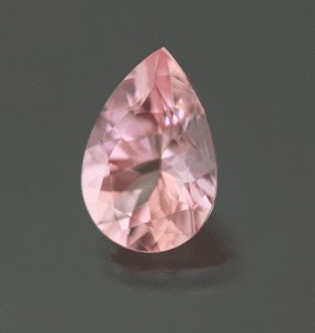 vendor pink tourm 2.gif vendor pink tourm 2.gif