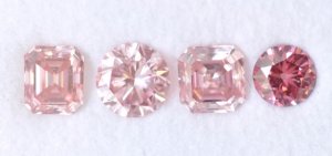 pinks.jpg pinks.jpg