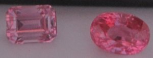 IMG_5054.jpg
