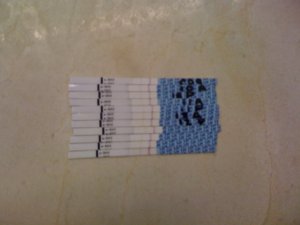 ctek-opk-july.JPG