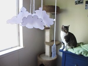 mogstercatclouds1.jpg