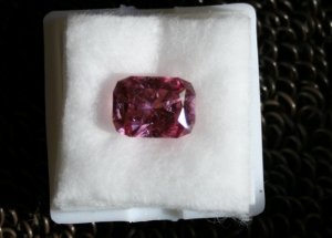 2011_07_15 021.jpg
