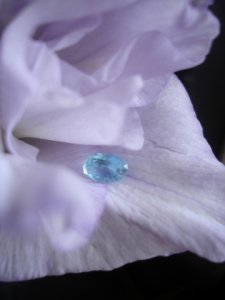 Aqua flower 1.jpg