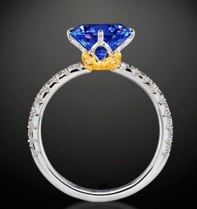 lotus dark blue with yellow gold.jpg