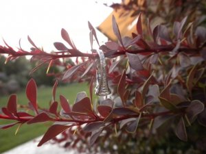 DSCN0861.JPG