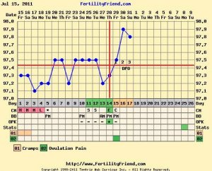 si_cycle1_ff_chart_0731.jpg