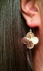 pricescope earrings.jpg