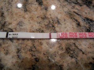 si_cycle1_hcg_12dpo.JPG