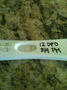 si_cycle1_frer_12dpo.JPG