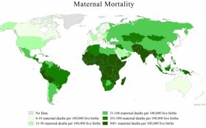Map3.6Maternal_Mortality_compressed.jpg
