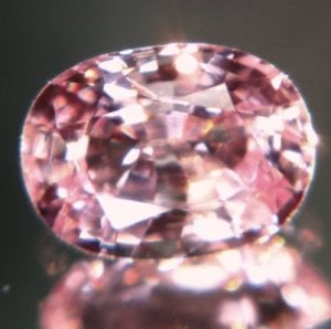 cpad161-brl2.jpg