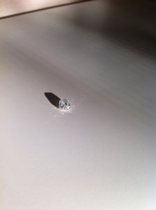 IMG_0543aa.JPG