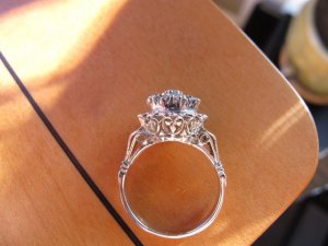 IMG_1631.jpg