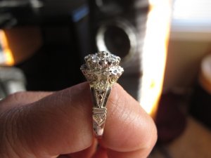IMG_1619.jpg