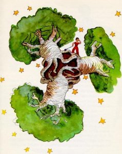 baobab.jpg