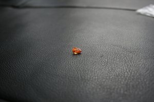 2011_08_26 095.jpg