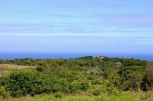 Game reserve right next to the sea.jpg