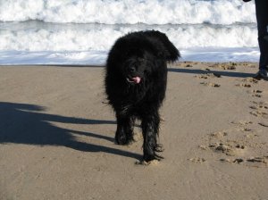 ByronBeach.jpg