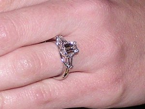 ring%20huge.jpg ring%20huge.jpg