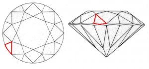 Upper Girdle Facet.jpg