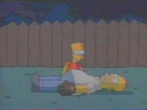 homerknockout.jpg