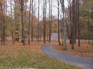 pattylookdowndriveway.jpg