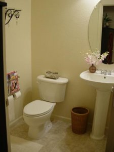 downstairs bath1.jpg
