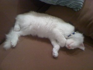 IMG_2320.JPG