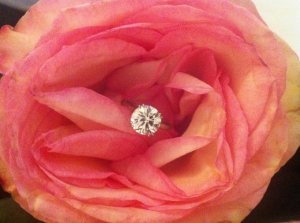 flower.jpg