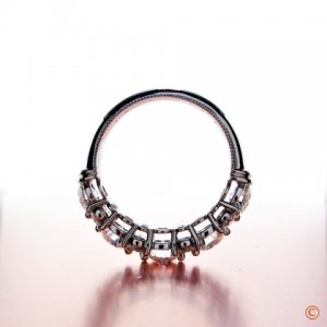 BrianGavin_CustomBand4b_122110.jpg