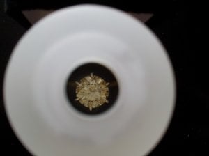 2011-09-23 15.24.31.jpg