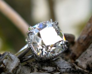 IMG_3748.JPG