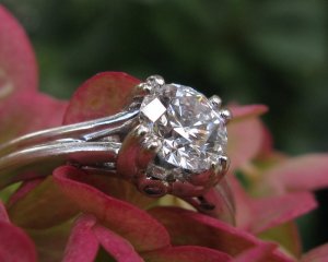 IMG_3834.JPG