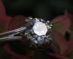 IMG_3835.JPG