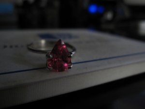 IMG_7926.JPG