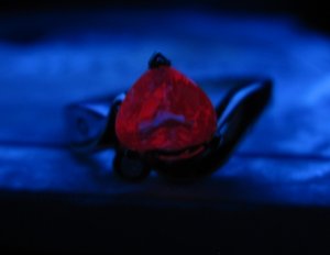 IMG_7956.JPG
