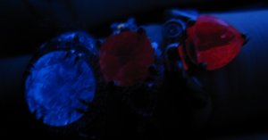IMG_7959.JPG