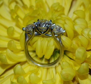 LZ ring side 2.jpg LZ ring side 2.jpg