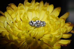 LZ ring 023.jpg