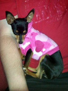 CameraZOOM-20111004213049.jpg