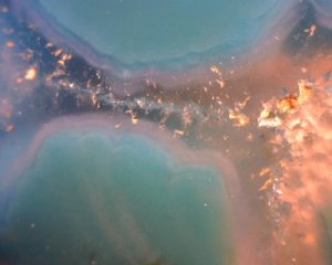 291980_1931351974785_1571823516_31517093_1304710721_n[1].jpg