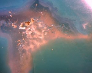 293546_1931351894783_1571823516_31517092_3588127_n[1].jpg