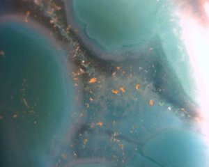 296348_1931351054762_1571823516_31517087_688462650_n[1].jpg