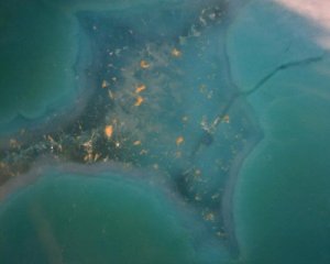 298487_1931351614776_1571823516_31517091_2132204305_n[1].jpg