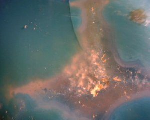 299600_1931351414771_1571823516_31517089_1546920128_n[1].jpg